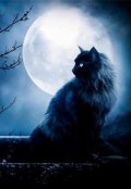 Обложка книги "Брошенная Дымка"