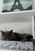 Обложка книги "Счастливый случай"