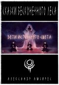 Обложка книги "Дети Истинного Света"