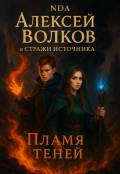 Обложка книги "Алексей Волков и стражи Источника. Пламя теней"