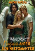 Обложка книги "Падший ангел для некромантки"