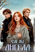 Обложка книги "Слезы ангела"