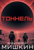 Обложка книги "Тоннель"