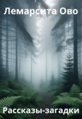 Обложка книги "Рассказы-загадки"
