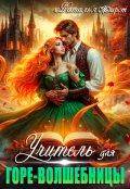 Обложка книги "Учитель для горе-волшебницы"