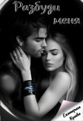 Обложка книги "Разбуди меня"
