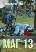 Обложка книги "Маг 13"