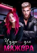 Обложка книги "Чудо(вище) для мажора"