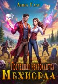 Обложка книги "Последняя некромантка Мехиорда"
