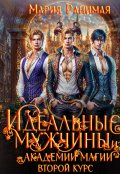 Обложка книги "Идеальные мужчины в академии магии. Второй курс"