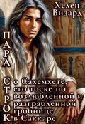 Обложка книги "Пара строк о Сахемхете 3"