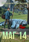 Обложка книги "Маг 14"