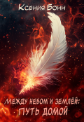 Обложка книги "Между небом и землёй: Путь домой"