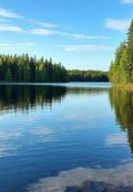 Обложка книги "Карельский вояж. Сказка"