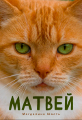 Обложка книги "Матвей"