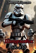Обложка книги "Штурмовик. Sr-810"