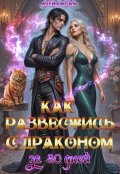 Обложка книги "Как развестись с драконом за 30 дней"