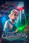 Обложка книги "Ведьмак без изъяна"