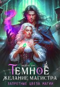 Обложка книги "Темное желание магистра. Запретные цвета магии"