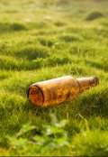 Обложка книги "Таежное счястье"