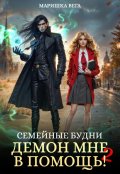 Обложка книги "Семейные будни: демон мне в помощь 2"