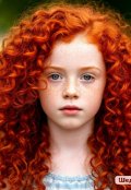 Обложка книги "Вперёд в прошлое 2"