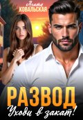 Обложка книги "Развод. Уходи в закат!"