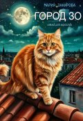 Обложка книги "Город  З О "