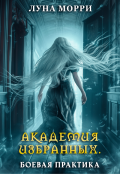 Обложка книги "Академия избранных. Боевая практика"