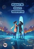 Обложка книги "Ведьма из пропасти восприятия"