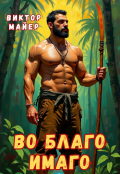 Обложка книги "Во благо имаго"