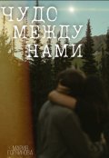 Обложка книги "Чудо между нами"