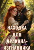 Обложка книги "Находка для дракона-изгнанника"