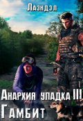 Обложка книги "Анархия упадка 3. Гамбит"