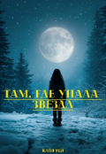 Обложка книги "Там, где упала звезда"