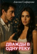 Обложка книги "Дважды в одну реку"