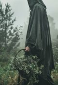 Обложка книги "Близнецы по обмену "