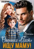 Обложка книги "Операция "Аист". Ищу Маму!"