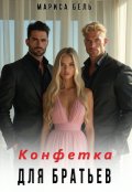 Обложка книги "Конфетка для братьев"