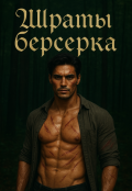Обложка книги "Шрамы берсерка"