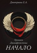 Обложка книги "Хроники Джанфрокстона. Начало"