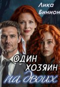 Обложка книги "Один хозяин на двоих"
