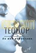 Обложка книги "Теодор."