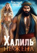 Обложка книги "Халиль. Не жена"