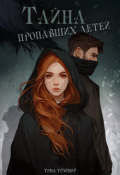 Обложка книги "Тайна пропавших детей"