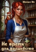Обложка книги "Не время для волшебства"