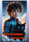 Обложка книги "Коля Калинкин - кошкин царь"