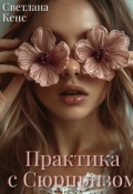Обложка книги "Практика с Сюрпризом (ознаком фрагмент без ред)"