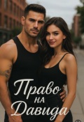 Обложка книги "Право на Давида"