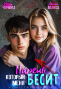 Обложка книги "Парень, который меня бесит"